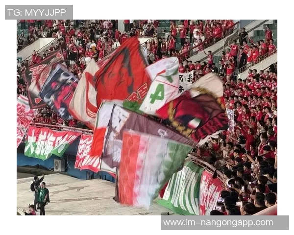 河南球迷热情高涨超21000人齐聚苏州助力足协杯决赛